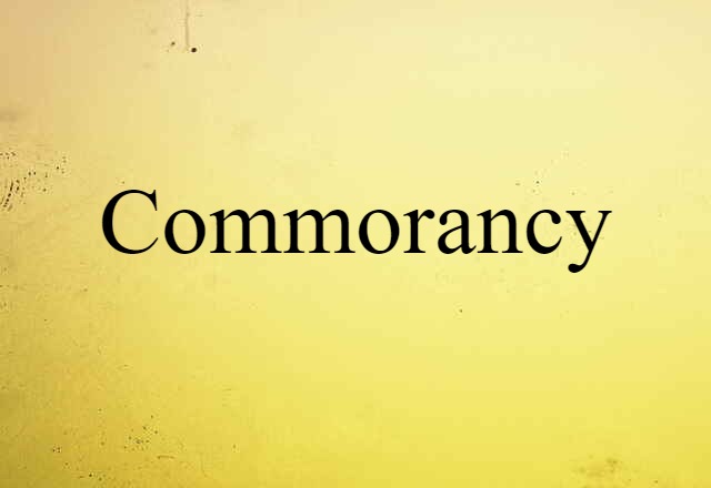 Commorancy (noun) Definition, Meaning & Examples