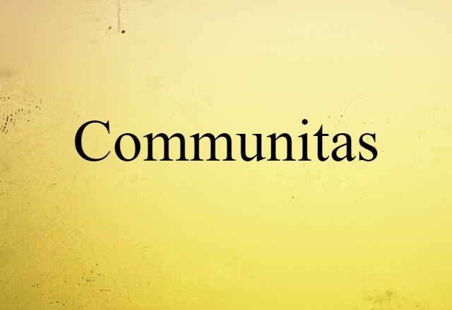 Communitas (noun) Definition, Meaning & Examples