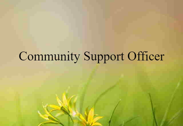 community support officer