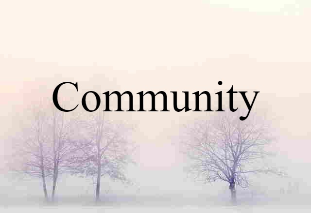 Community (noun) Definition, Meaning & Examples