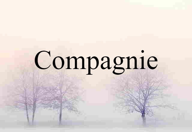 Compagnie (noun) Definition, Meaning & Examples