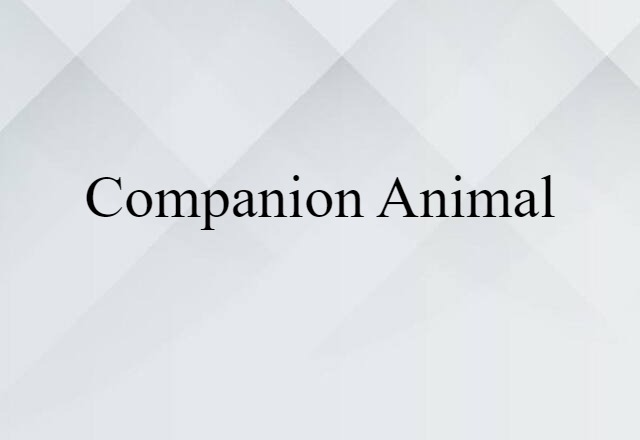 Companion Animal (noun) Definition, Meaning & Examples