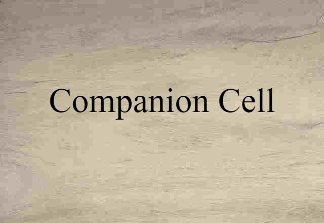 companion cell