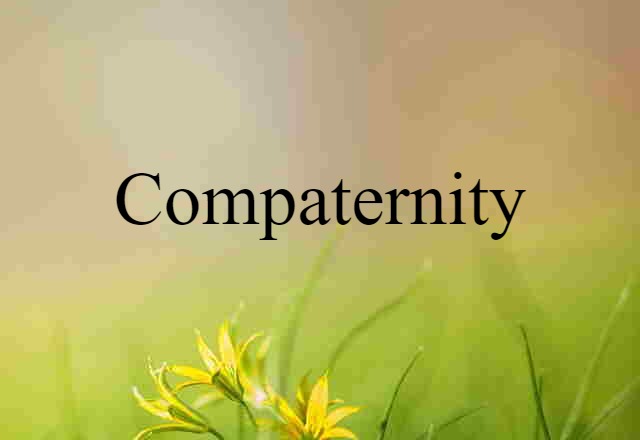 Compaternity (noun) Definition, Meaning & Examples