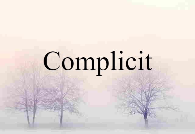 Complicit (noun) Definition, Meaning & Examples