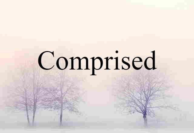 Comprised (noun) Definition, Meaning & Examples