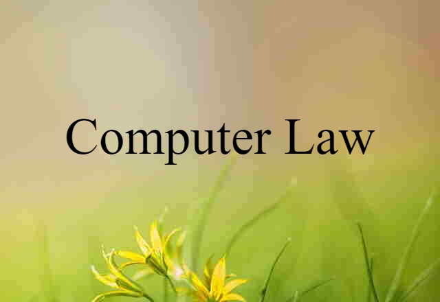 computer law