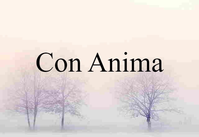 Con Anima (noun) Definition, Meaning & Examples