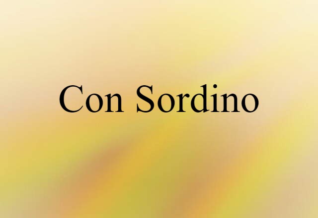 Con Sordino (noun) Definition, Meaning & Examples