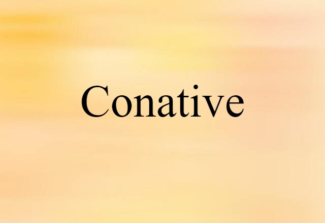 Conative (noun) Definition, Meaning & Examples