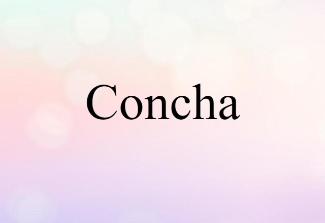 concha