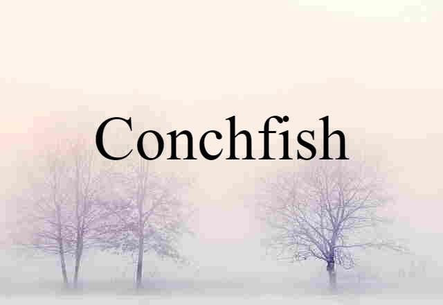 conchfish