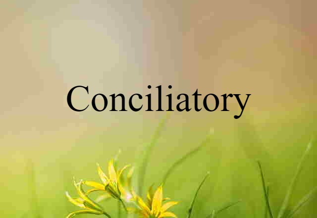 Conciliatory (noun) Definition, Meaning & Examples