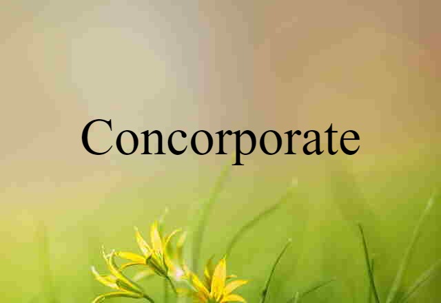 Concorporate (noun) Definition, Meaning & Examples