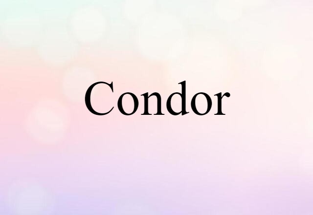 Condor (noun) Definition, Meaning & Examples