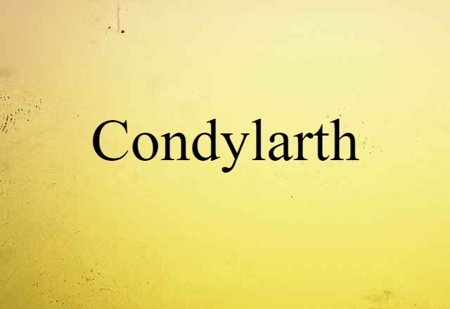 Condylarth (noun) Definition, Meaning & Examples