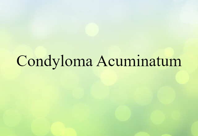 Condyloma Acuminatum (noun) Definition, Meaning & Examples