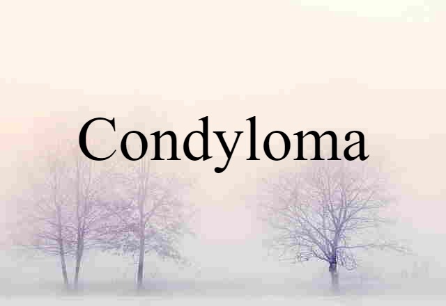 Condyloma (noun) Definition, Meaning & Examples