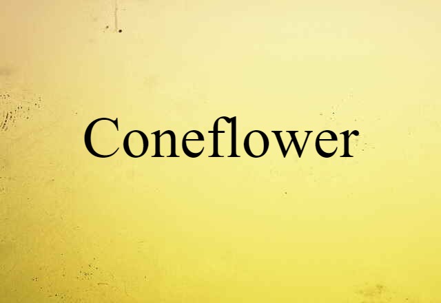 coneflower