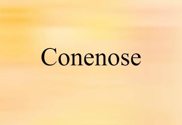 Conenose (noun) Definition, Meaning & Examples