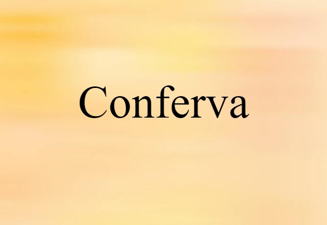 conferva