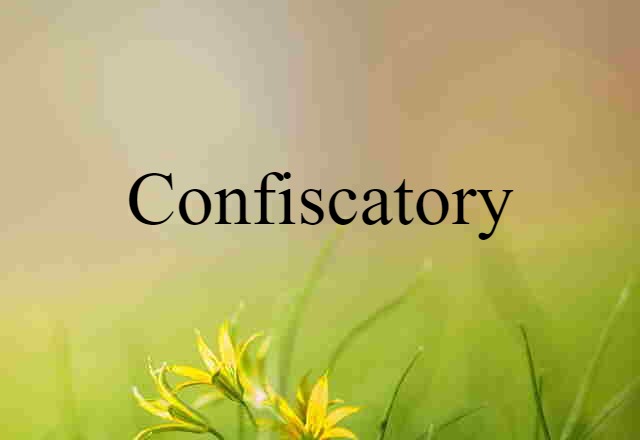 Confiscatory (noun) Definition, Meaning & Examples