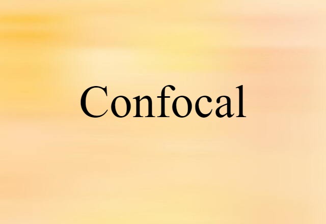 Confocal (noun) Definition, Meaning & Examples