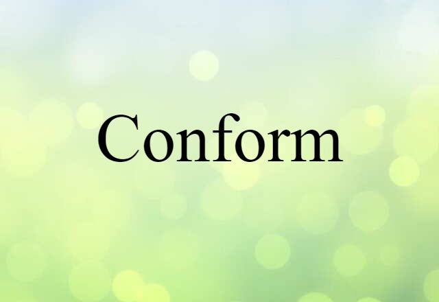 Conform (noun) Definition, Meaning & Examples