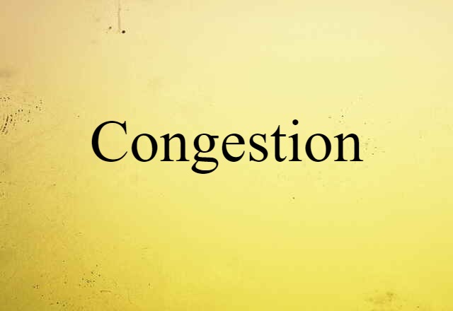 Congestion (noun) Definition, Meaning & Examples