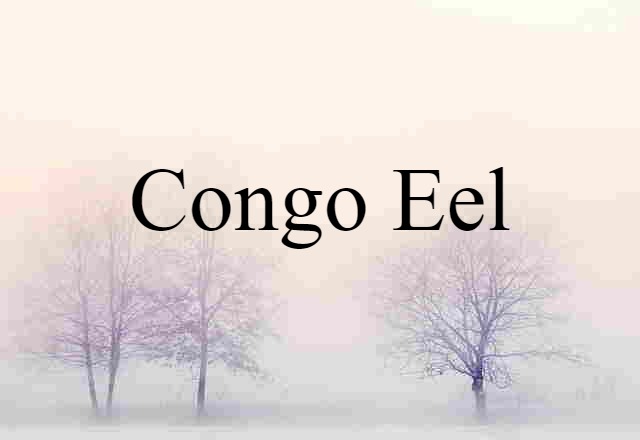 Congo Eel (noun) Definition, Meaning & Examples