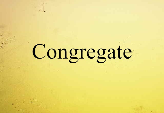 Congregate (noun) Definition, Meaning & Examples