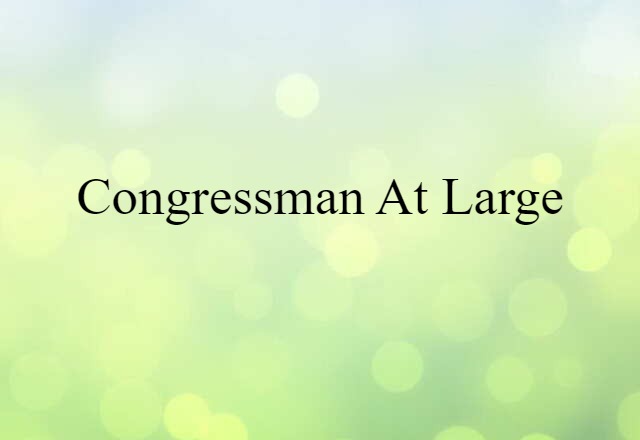 congressman at large