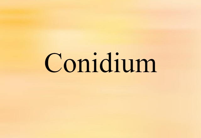 conidium