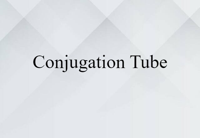 Conjugation Tube (noun) Definition, Meaning & Examples