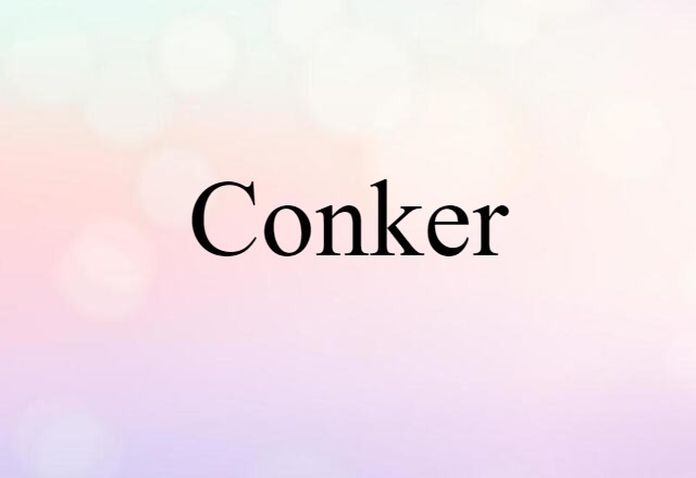 Conker (noun) Definition, Meaning & Examples