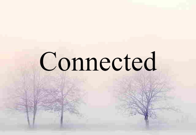 Connected (noun) Definition, Meaning & Examples