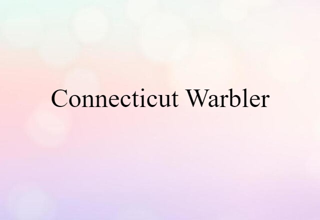 Connecticut Warbler (noun) Definition, Meaning & Examples