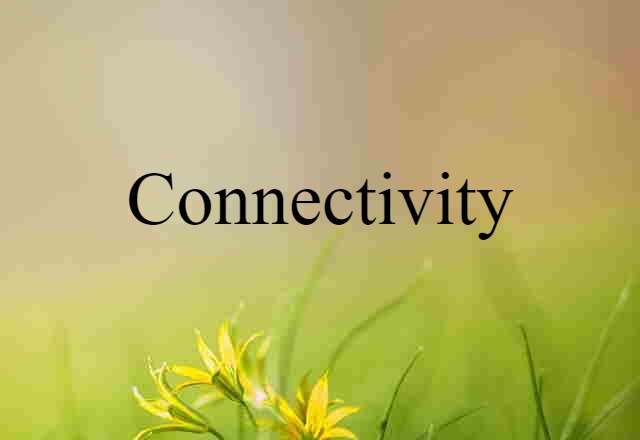 Connectivity (noun) Definition, Meaning & Examples