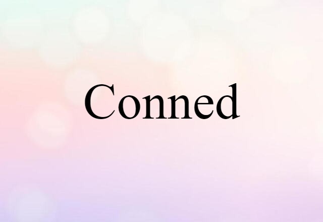 Conned (noun) Definition, Meaning & Examples