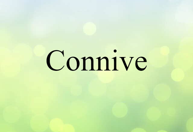 connive