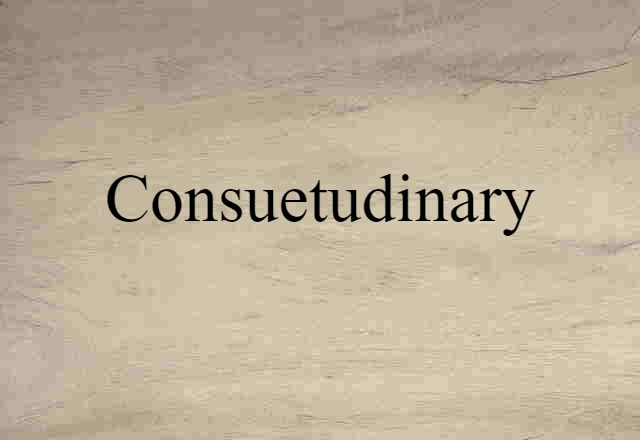 Consuetudinary (noun) Definition, Meaning & Examples