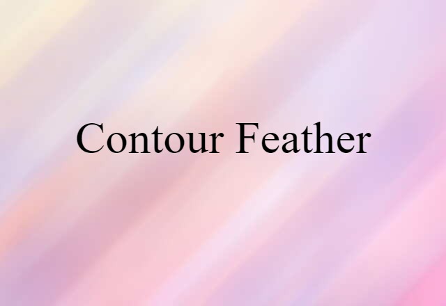 Contour Feather (noun) Definition, Meaning & Examples