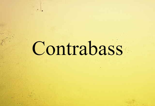 Contrabass (noun) Definition, Meaning & Examples