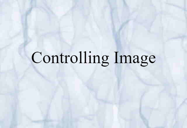 Controlling Image (noun) Definition, Meaning & Examples