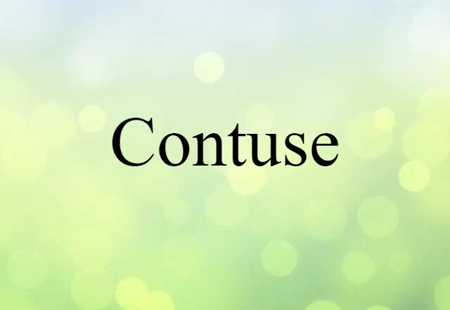 Contuse (noun) Definition, Meaning & Examples