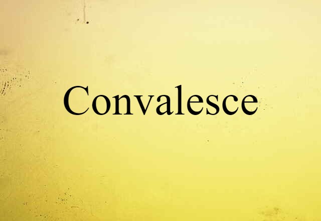 Convalesce (noun) Definition, Meaning & Examples