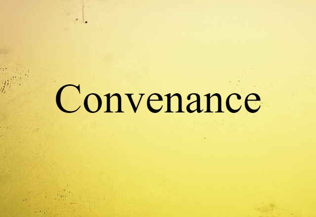 Convenance (noun) Definition, Meaning & Examples