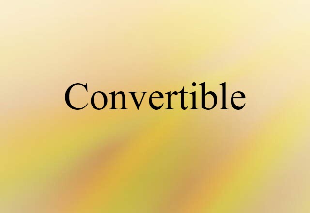 Convertible (noun) Definition, Meaning & Examples