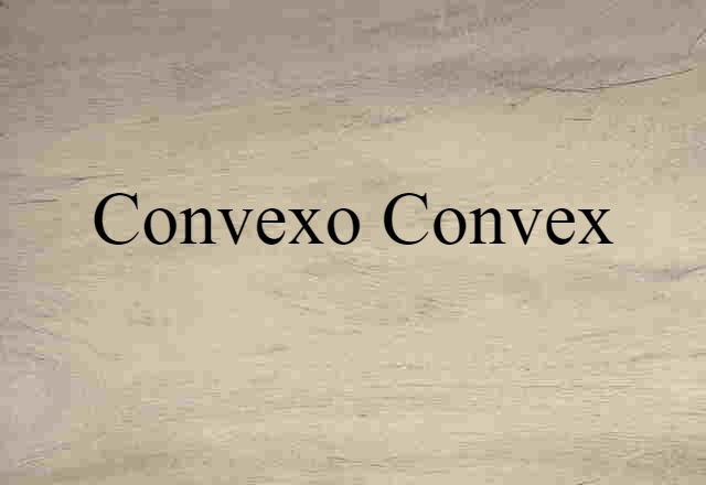 Convexo-convex (noun) Definition, Meaning & Examples