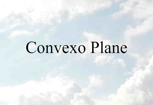 Convexo Plane (noun) Definition, Meaning & Examples